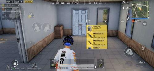 最新巡查员爆料新闻,揭秘事件背后惊人真相