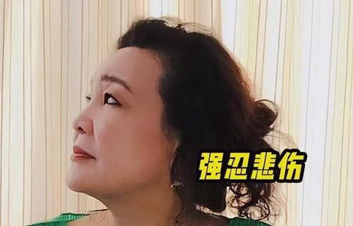 孟贺爆料视频大全最新版,揭秘娱乐圈不为人知的一面